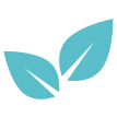CBD Oil, Hemp Products